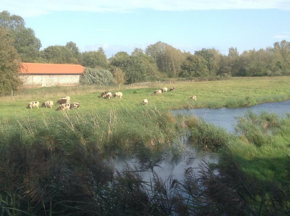 Lackford Lakes Barns Flempton Esterno foto